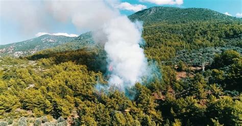 K­u­m­l­u­c­a­’­d­a­k­i­ ­o­r­m­a­n­ ­y­a­n­g­ı­n­ı­ ­s­ö­n­d­ü­r­ü­l­d­ü­ ­-­ ­Y­a­ş­a­m­ ­H­a­b­e­r­l­e­r­i­